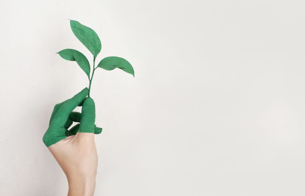 Greenwashing: O Risco de Comunicar Propósito Que Sua Marca Não Sustenta