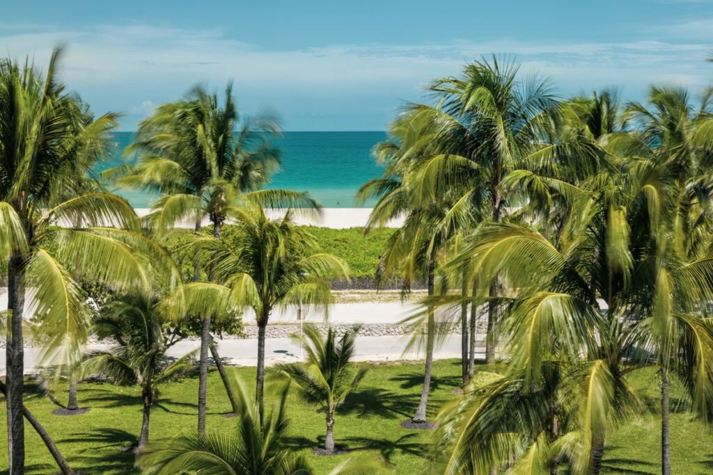 GTA VI em Miami: a Marca Que Pagou pra Aparecer Menos
